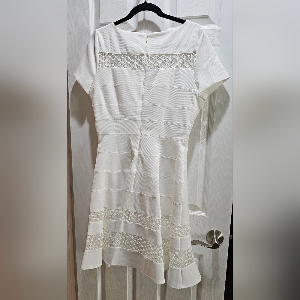 Rare White House Black Market Lace Insert Fit & Flare Dress - Size 10 NWT - Picture 5 of 6